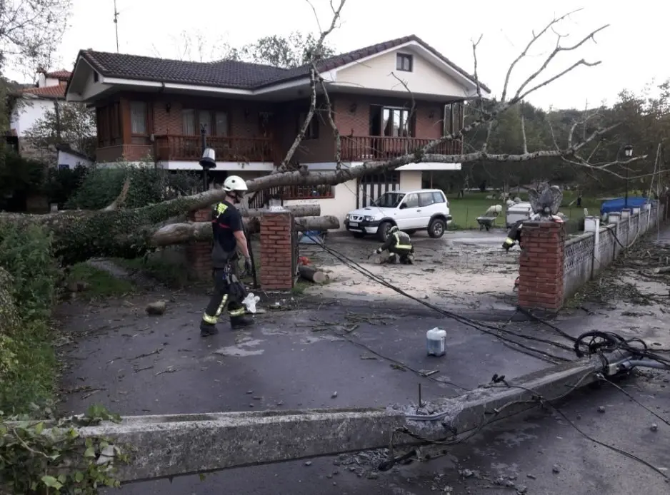 Ca&iacute;da de &aacute;rbol en Selaya