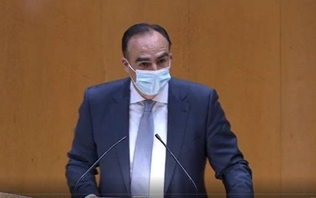 El senador del PP por Cantabria Javier Puente en el Senado