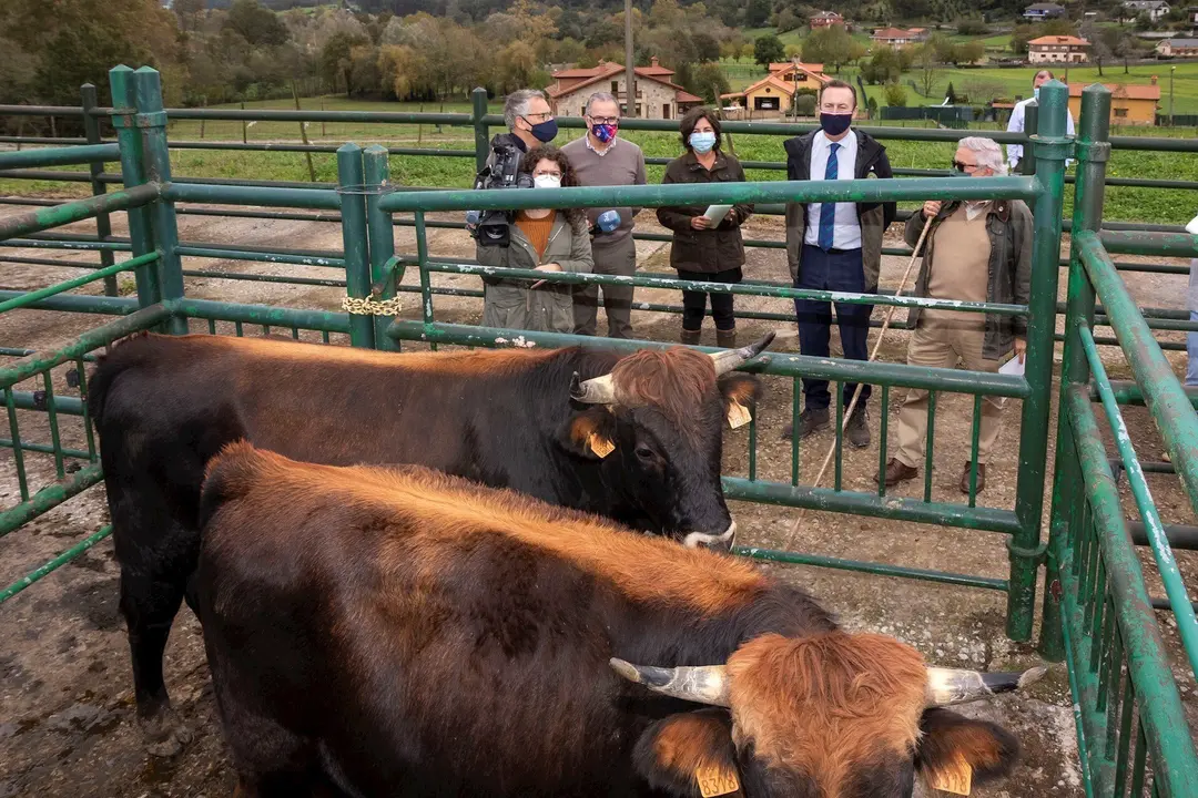 El consejero de Ganader&iacute;a, Guillermo Blanco, en la finca La Torquilla