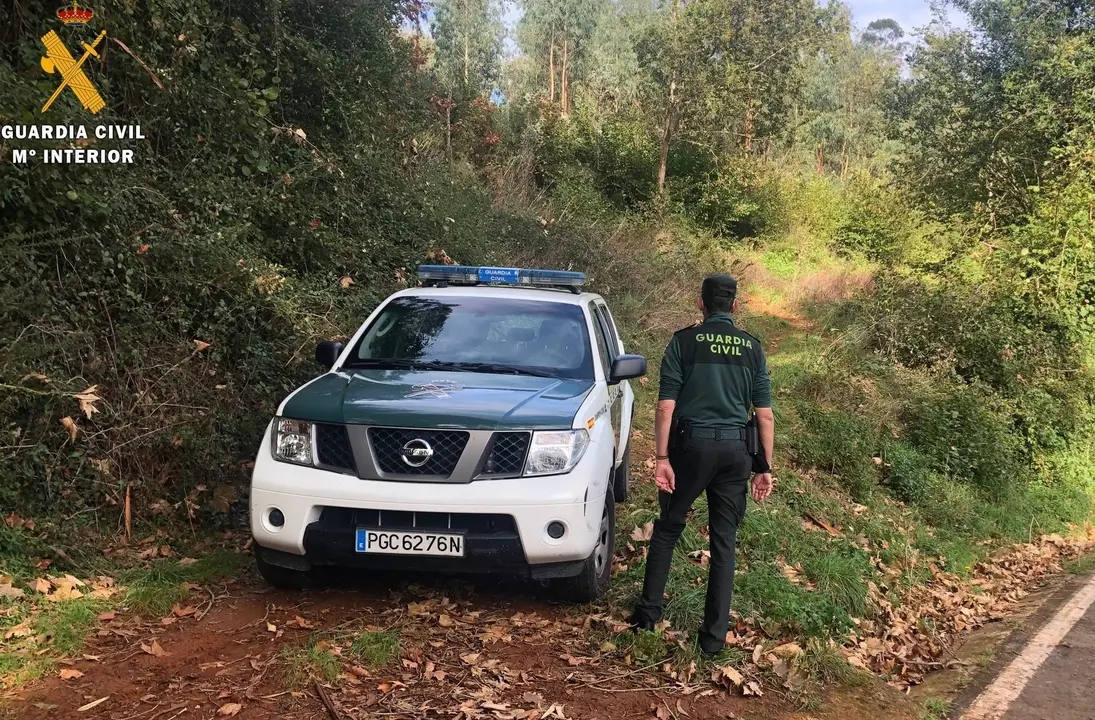 Nota De Prensa Delito De Hurto