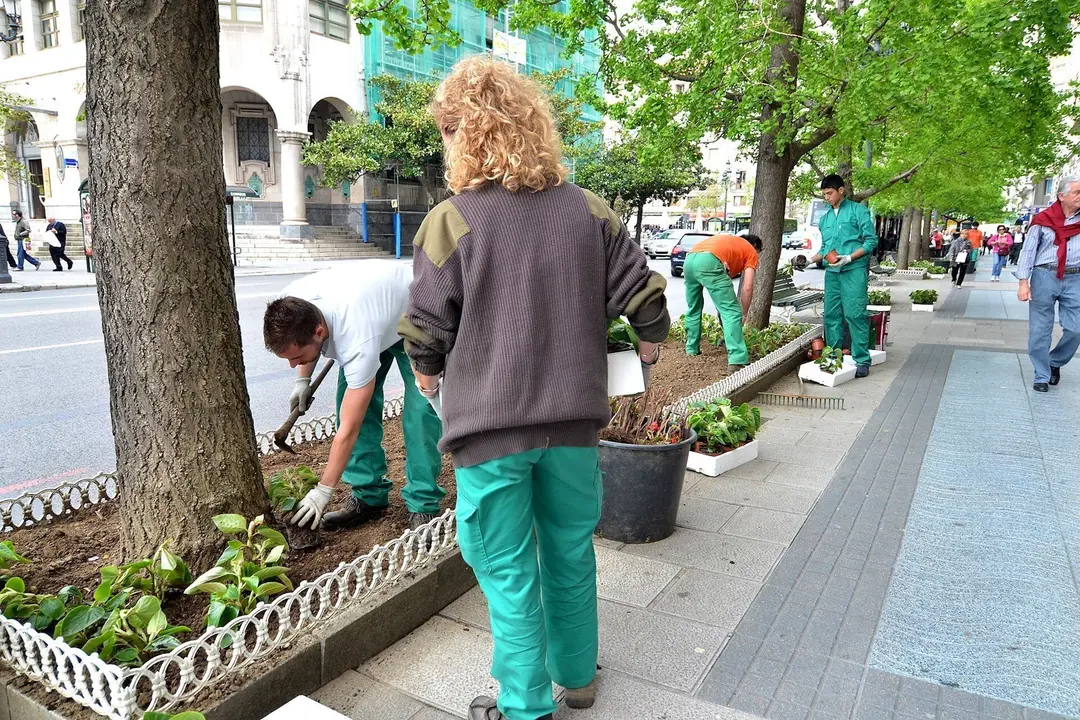 Plataci&oacute;n Flores