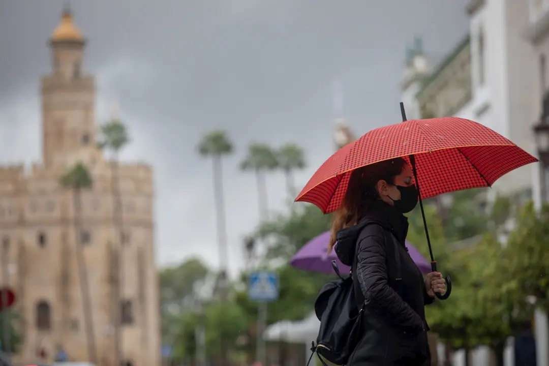 Una mujer bajo siu paraguas durante una jornada de lluvia. En Sevilla (Andaluc&iacute;a, Espa&ntilde;a), a 22 de octubre de 2020.