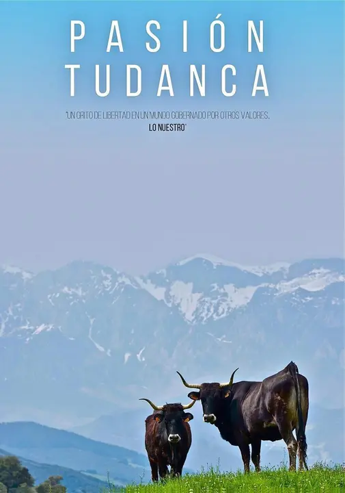 CARTEL OFICIAL PASION TUDANCA