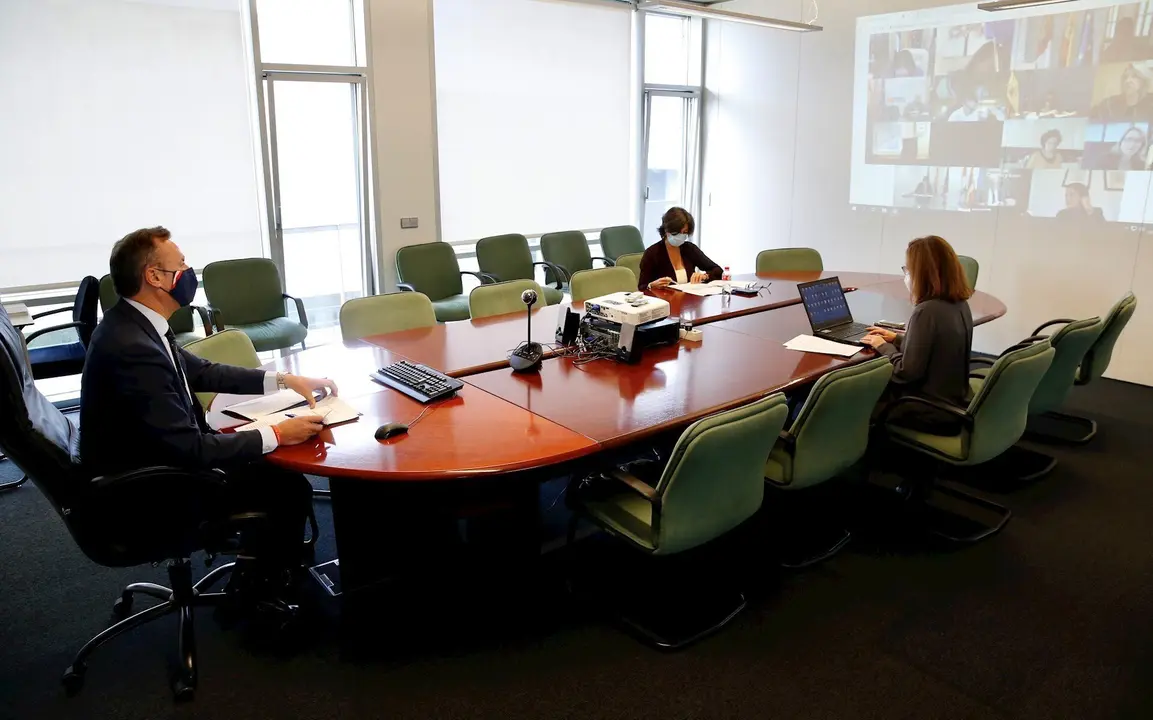 El consejero de Desarrollo Rural, Ganader&iacute;a, Pesca, Alimentaci&oacute;n y Medio Ambiente, Guillermo Blanco, en la sectorial de Agricultura