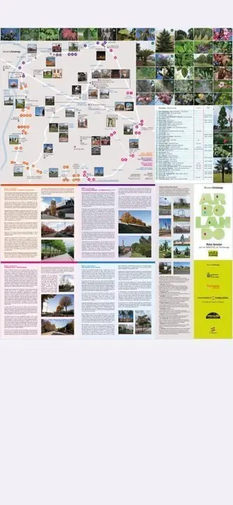 124977580_4888932697785256_9197247278924066079_n