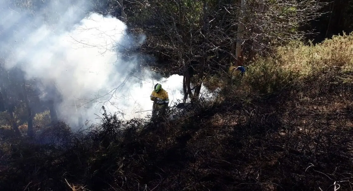 Foto de archivo de la extinci&oacute;n de un incendio por miembros del operativo de Medio Natural