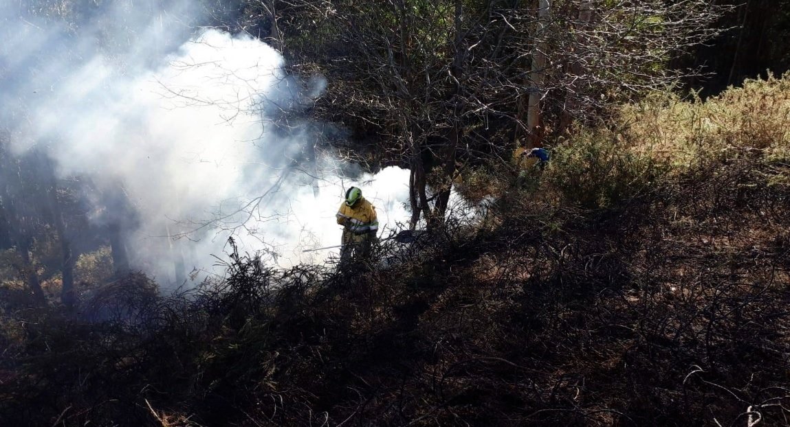 Foto de archivo de la extinción de un incendio por miembros del operativo de Medio Natural