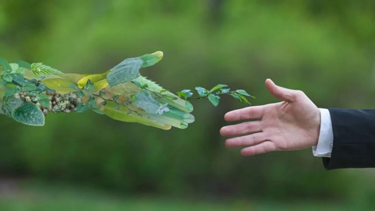 conciencia ecol&oacute;gica