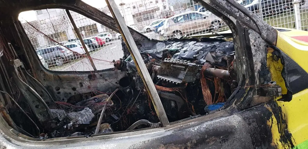 WhatsApp Image 2020-11-23 at 10.22.26