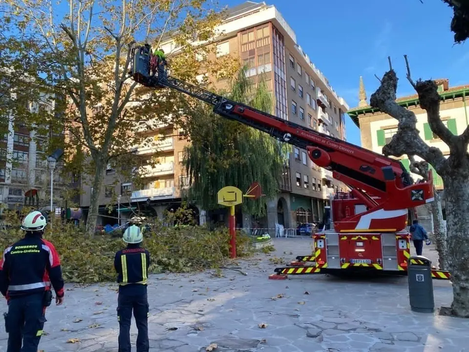 Poda en altura de &aacute;rboles