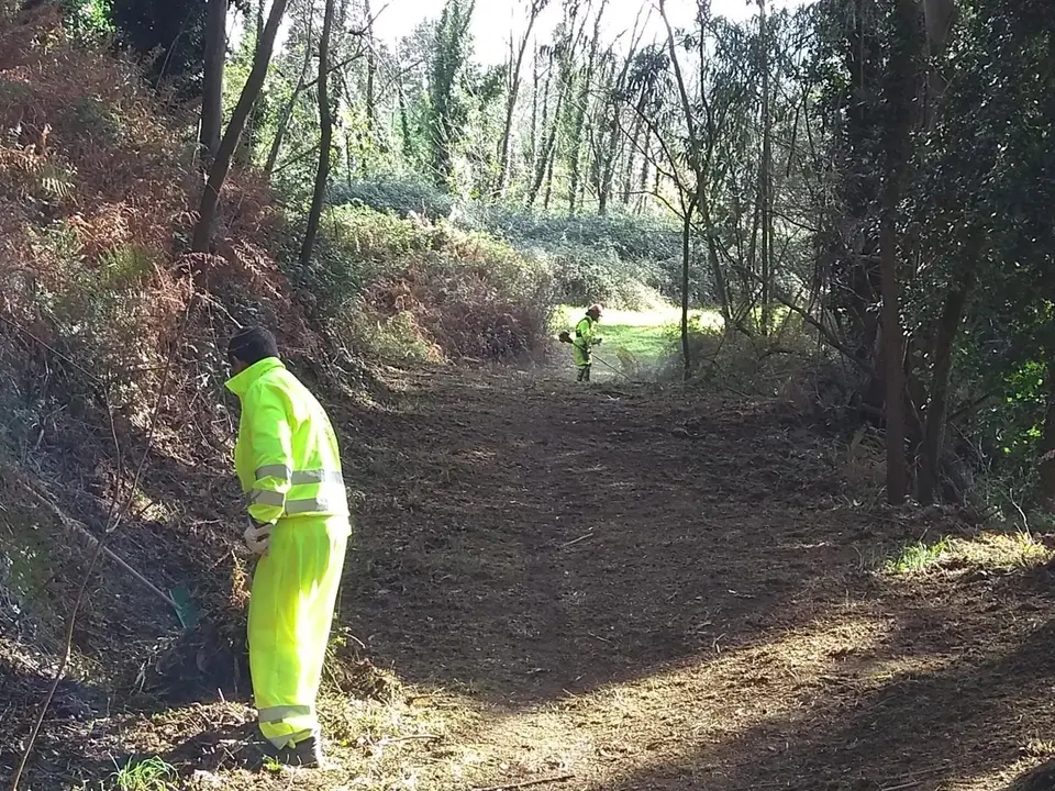 Tareas de limpieza y desbroce en zonas de inter&eacute;s medioambiental de Camargo