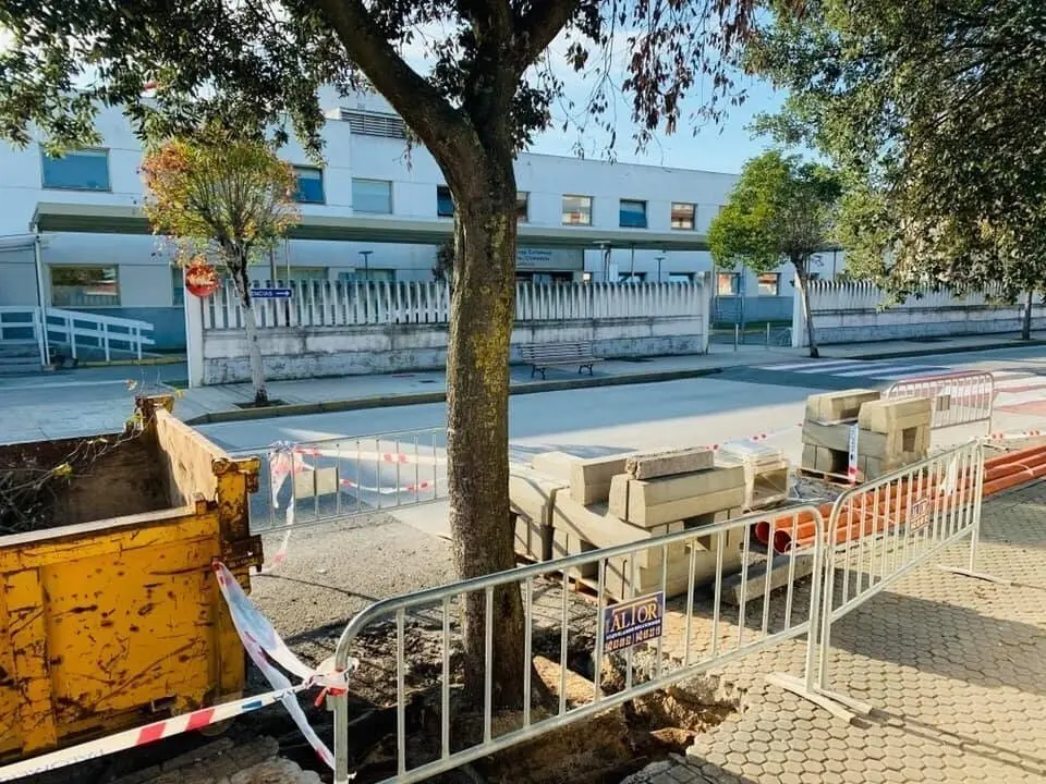 Encina frente al Hospital Comarcal