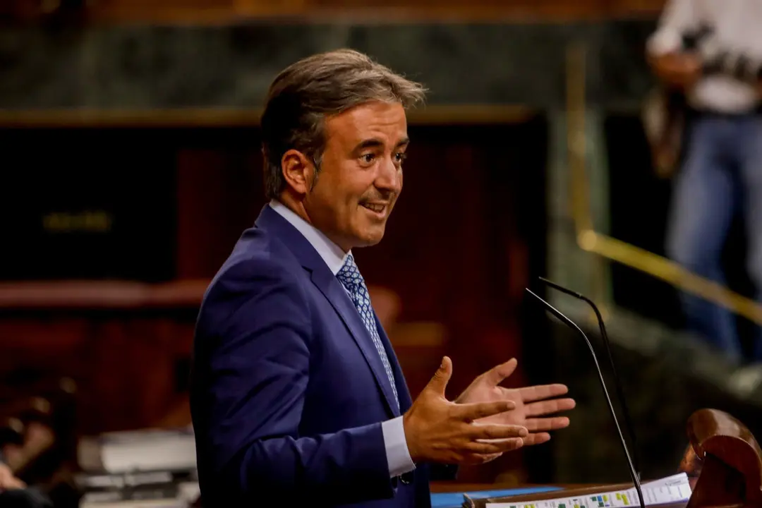 El diputado nacional del PP por Cantabria, Diego Movell&aacute;n, en el Congreso. Archivo