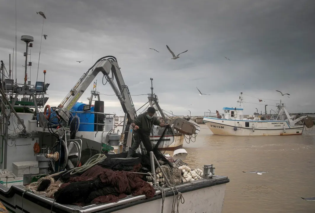 Llegada de un barco pesquero a  la lonja de la Cofrad&iacute;a de Pescadores de Sanl&uacute;car de Barrameda 