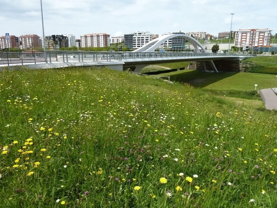 Parque de Las Llamas. Archivo.