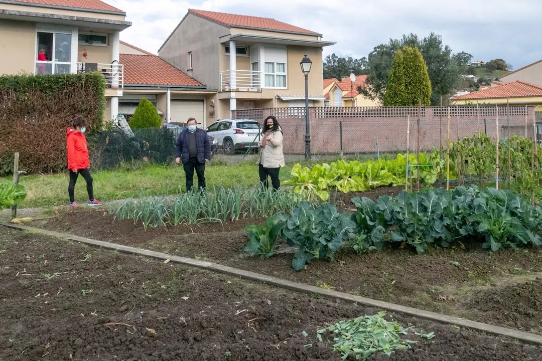 Huertos urbanos de Polanco
