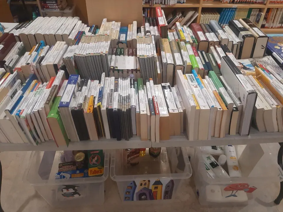 Campa&ntilde;a de recogida de alimentos en bibliotecas