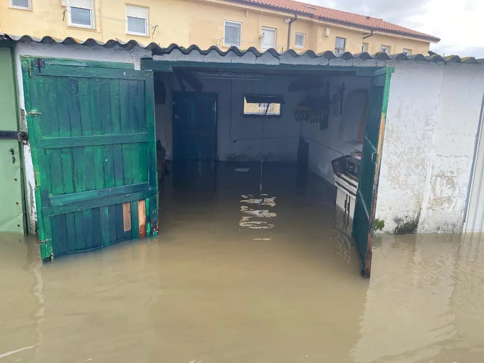 WhatsApp Image 2020-12-09 at 13.43.53