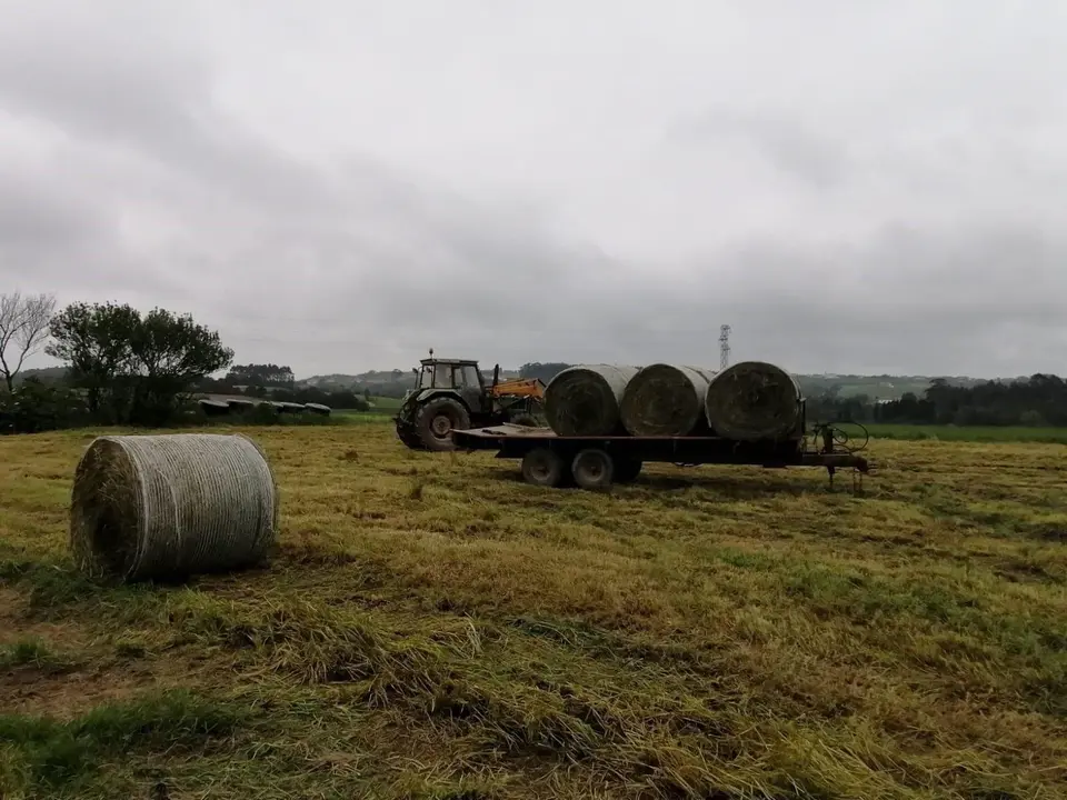 Trabajos en el campo, rural, agricultur, PAC, tractor.