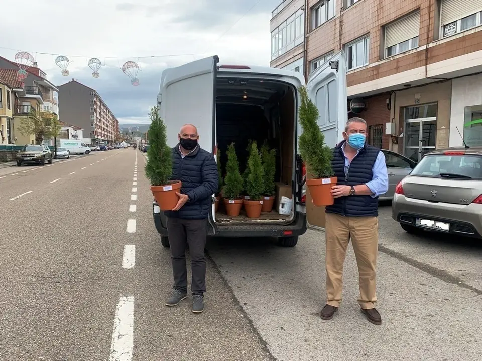 Campa&ntilde;a de reparto de pinos en peque&ntilde;os comercios