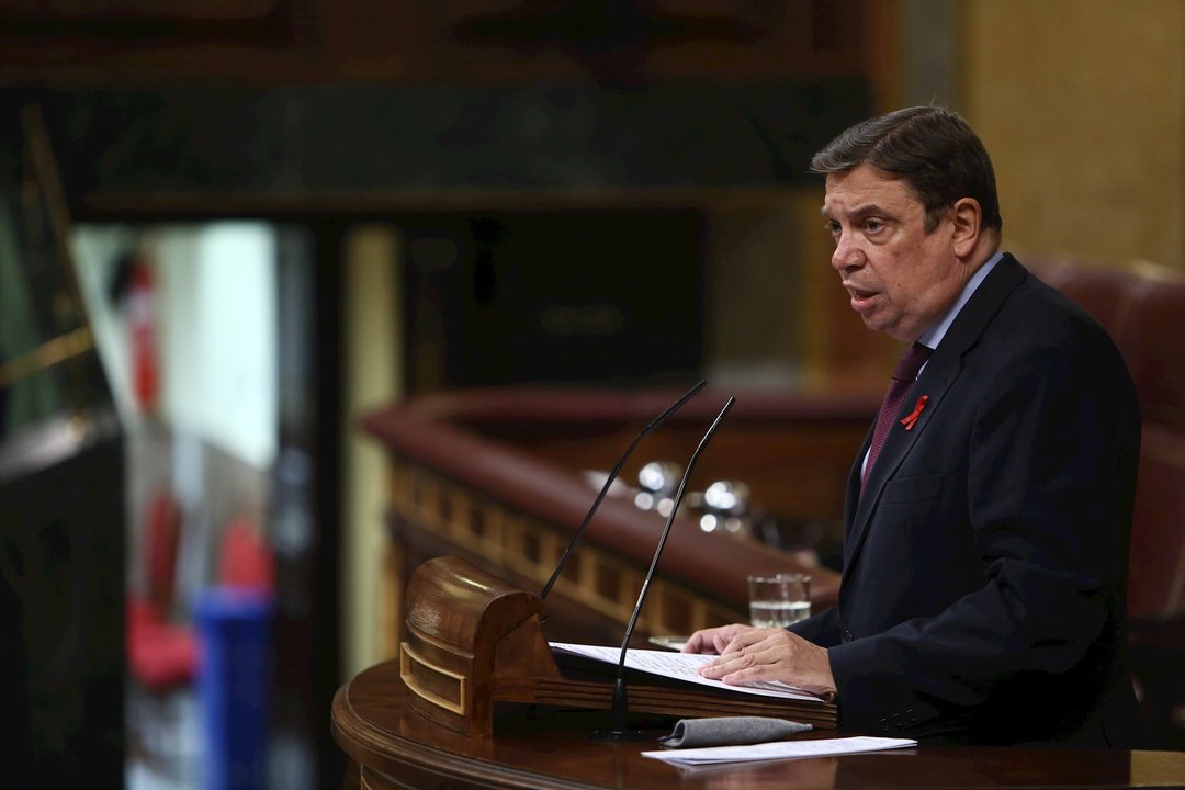 El ministro de Agricultura, Pesca y Alimentación, Luis Planas, en una imagen de 1 de diciembre en el Congreso de los Diputados. 