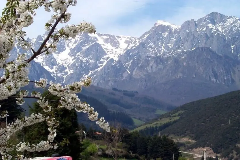 Picos de Europa