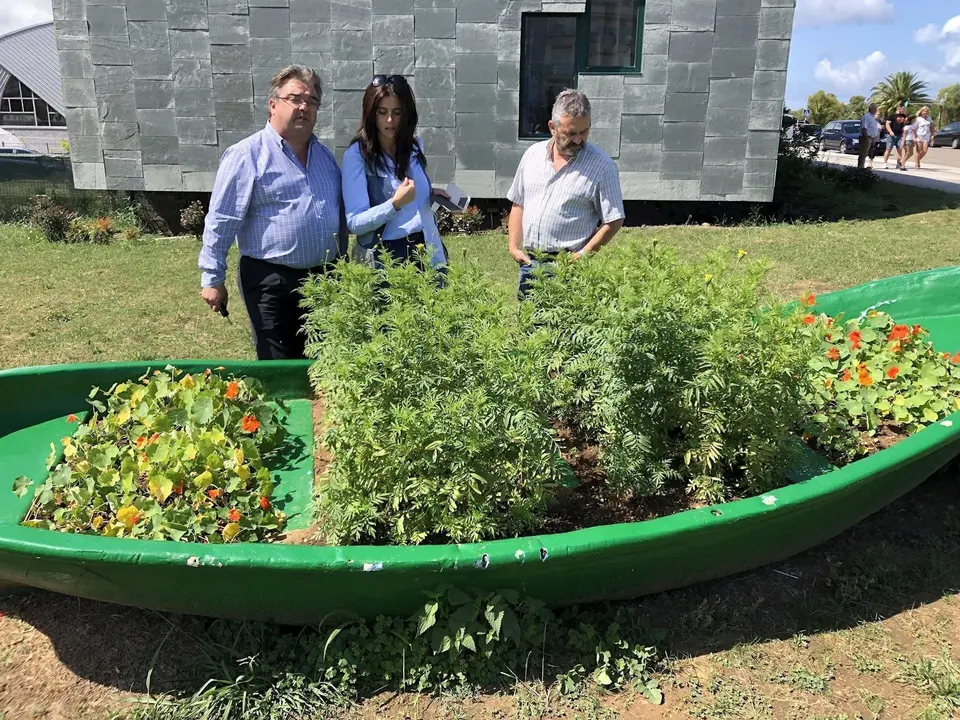 Inicio del taller de empleo 'Noja viveros y jardines II'