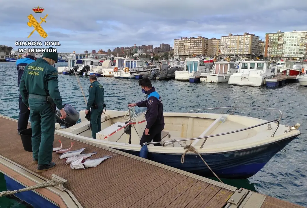 Rdo. Nota De Prensa Guardia Civil (Intervenida Una Embarcaci&oacute;n Tras Soprender A Dos Furtivos Realizando Pesca Con Palangre Campa&ntilde;a Navidad)