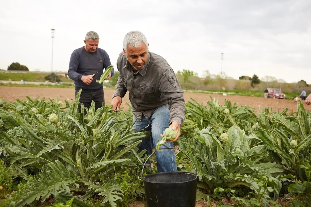 Fundaci&oacute;n 'la Caixa' destina 68.000 euros a cuatro proyectos de transformaci&oacute;n social en el &aacute;mbito rural en Arag&oacute;n