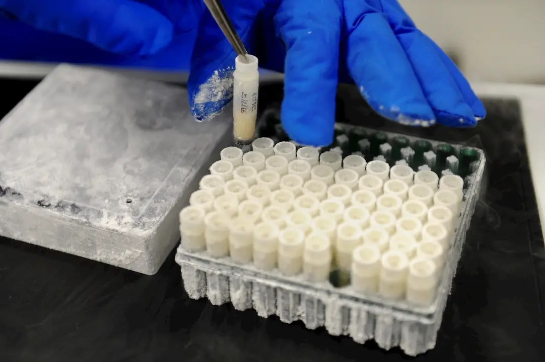 Muestras bio laboratorio Idival