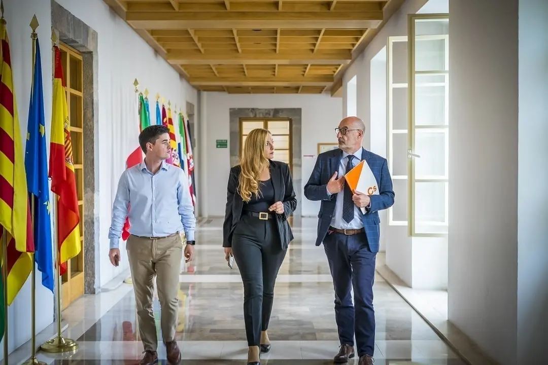 Diputados Ciudadanos Cantabria