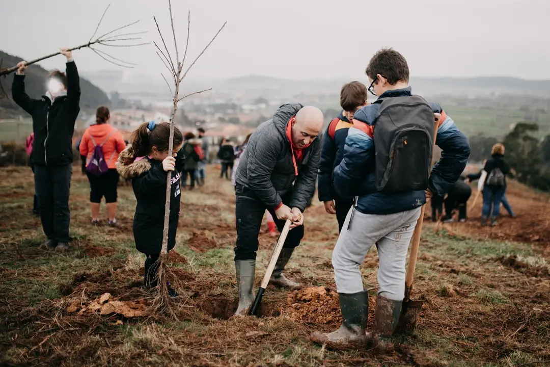 Plantaci&oacute;n de &aacute;rboles