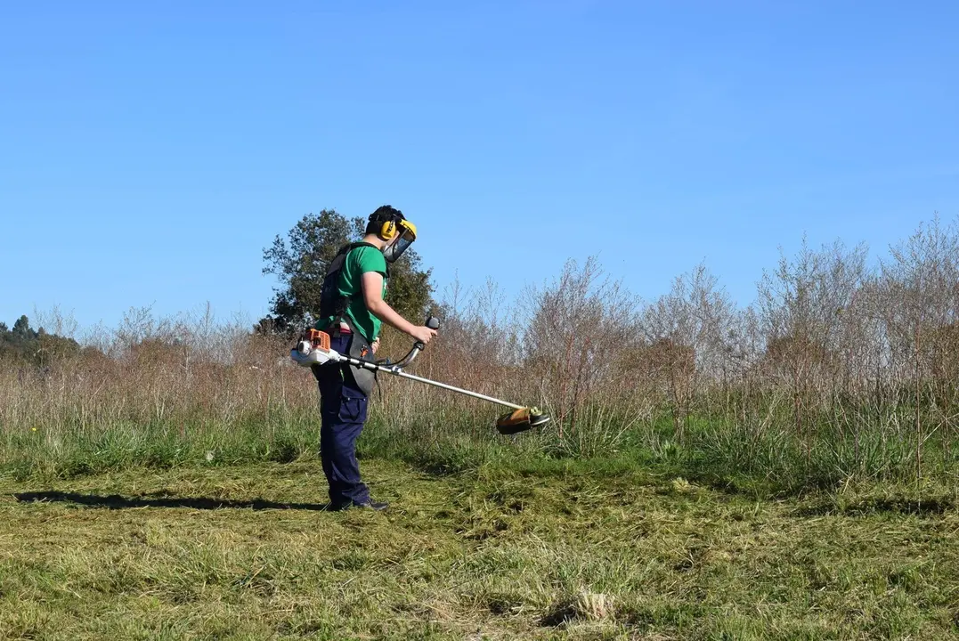 Escuela taller de Pi&eacute;lagos IV-Especialidad jardiner&iacute;a