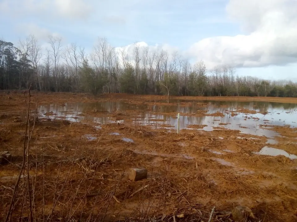 Restauraci&oacute;n ambiental en Morero