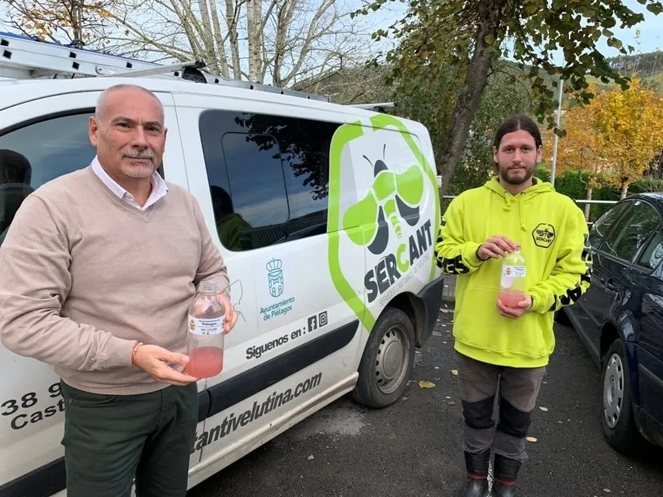 Pi&eacute;lagos refuerza la lucha contra la avispa asi&aacute;tica con un trampeo durante el oto&ntilde;o