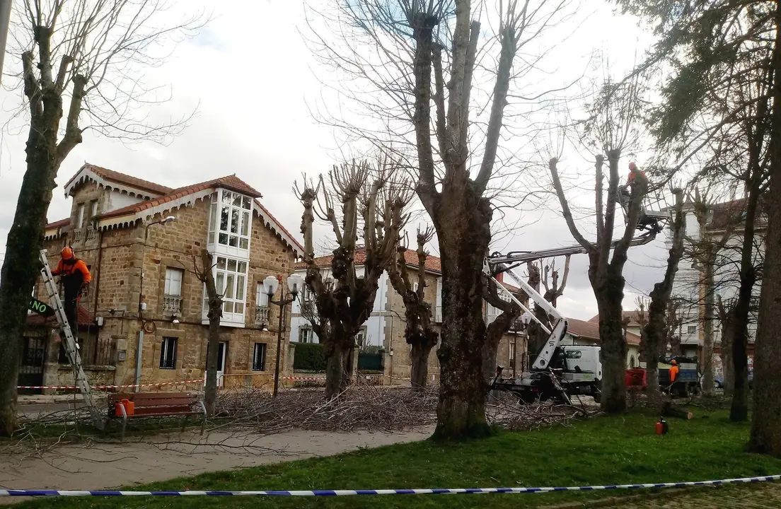Labores de poda en el parque Cupido de Reinosa