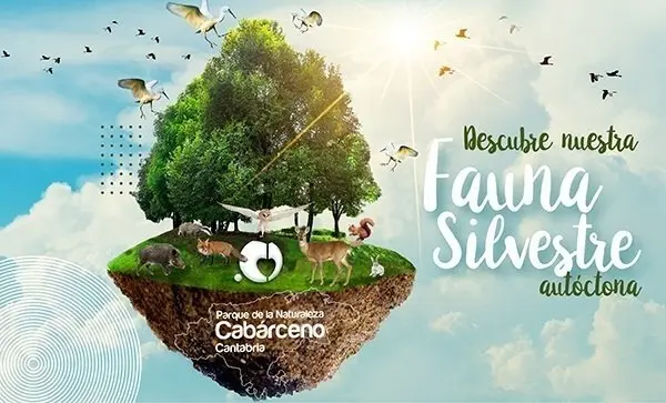 Nueva secci&oacute;n en la web de Cab&aacute;rceno