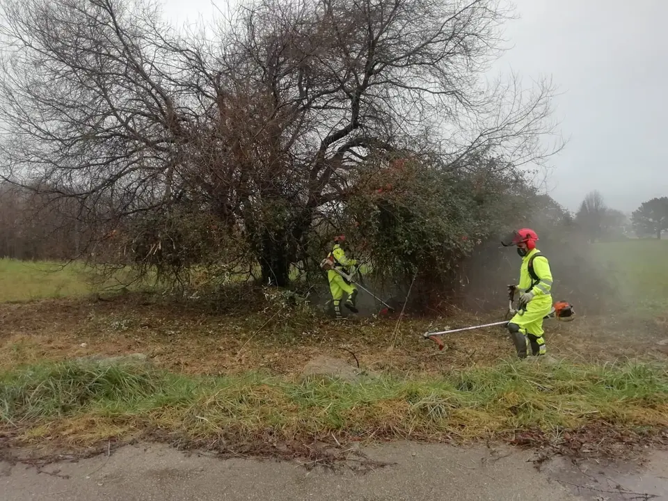 Trabajos de eliminaci&oacute;n de maleza en Punta Parayas