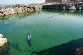 Minizoo de la Magdalenan