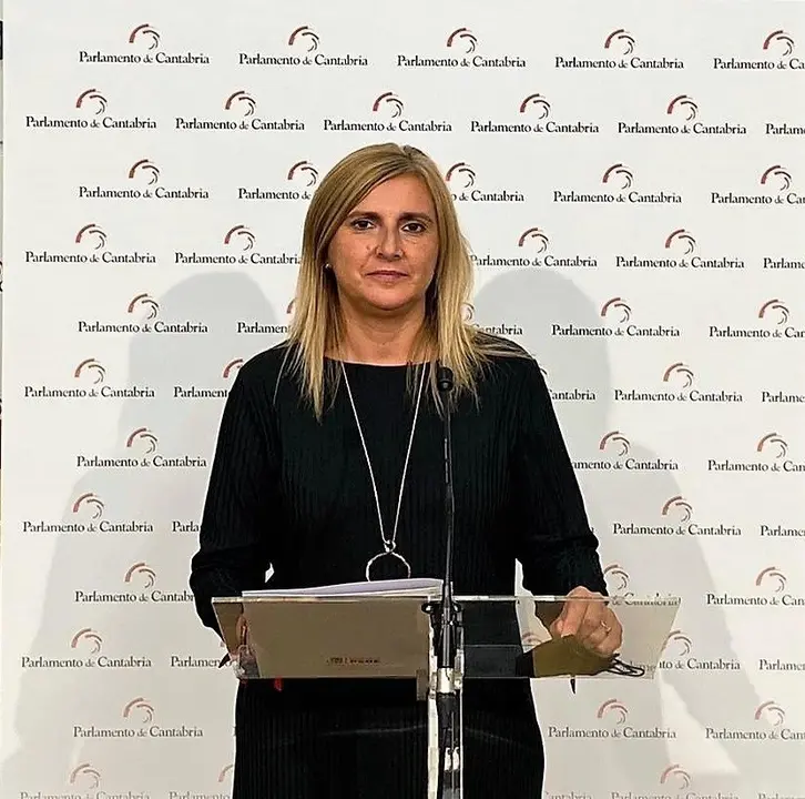 La secretaria de Organizaci&oacute;n del PSOE de Cantabria y portavoz del grupo socialista en el Parlamento, Noelia Cobo