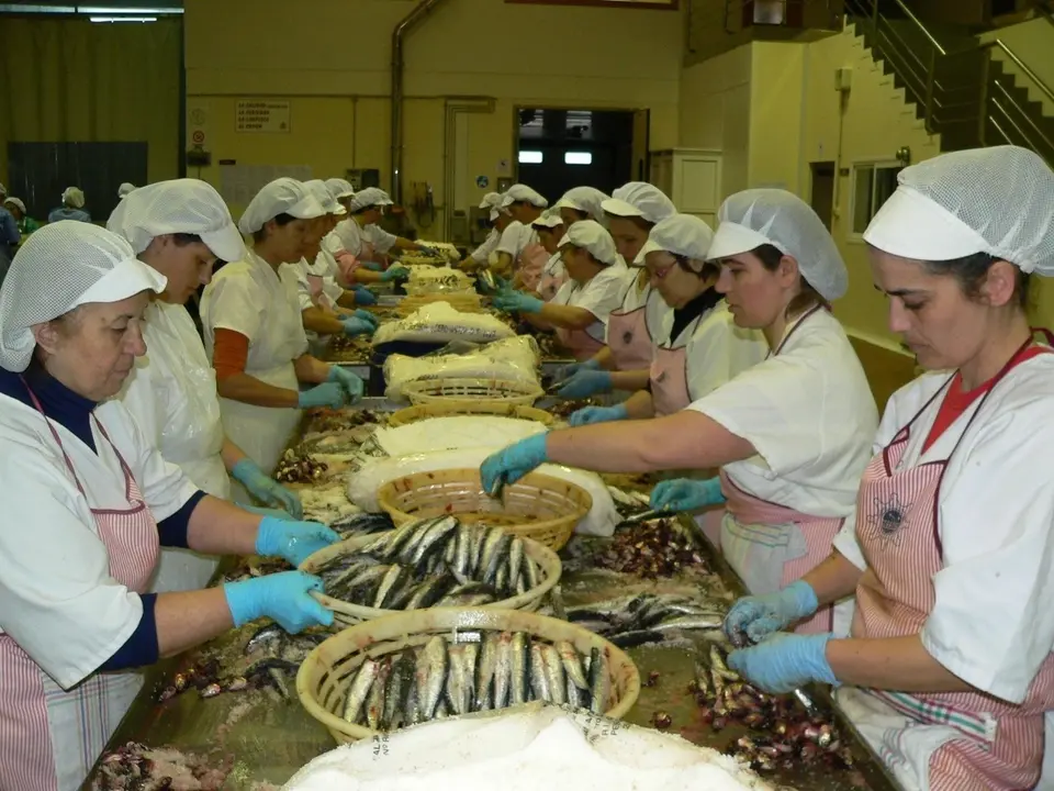 Trabajadoras de una f&aacute;brica de anchoas