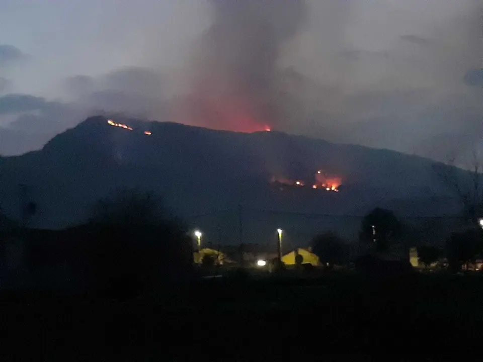 WhatsApp Image 2021-02-20 at 19.39.48 (1)