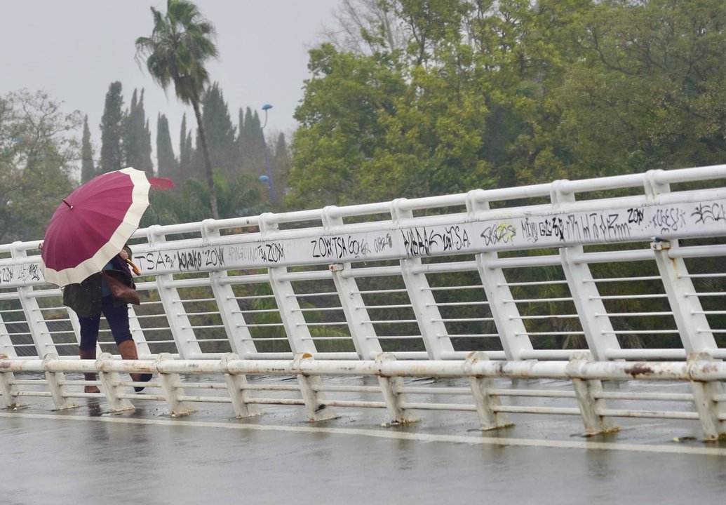 Un persona se protege de la lluvia y el viento caminando por la pasarela peatonal de la Cartuja, en Sevilla