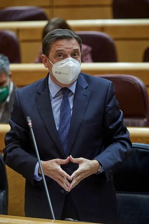 El ministro de Agricultura, Pesca y Alimentaci&oacute;n, Luis Planas interviene durante una sesi&oacute;n de control al Gobierno en el Senado 