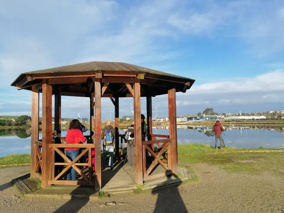 Rutas ornitol&oacute;gicas en Marismas de Astillero.-Archivo