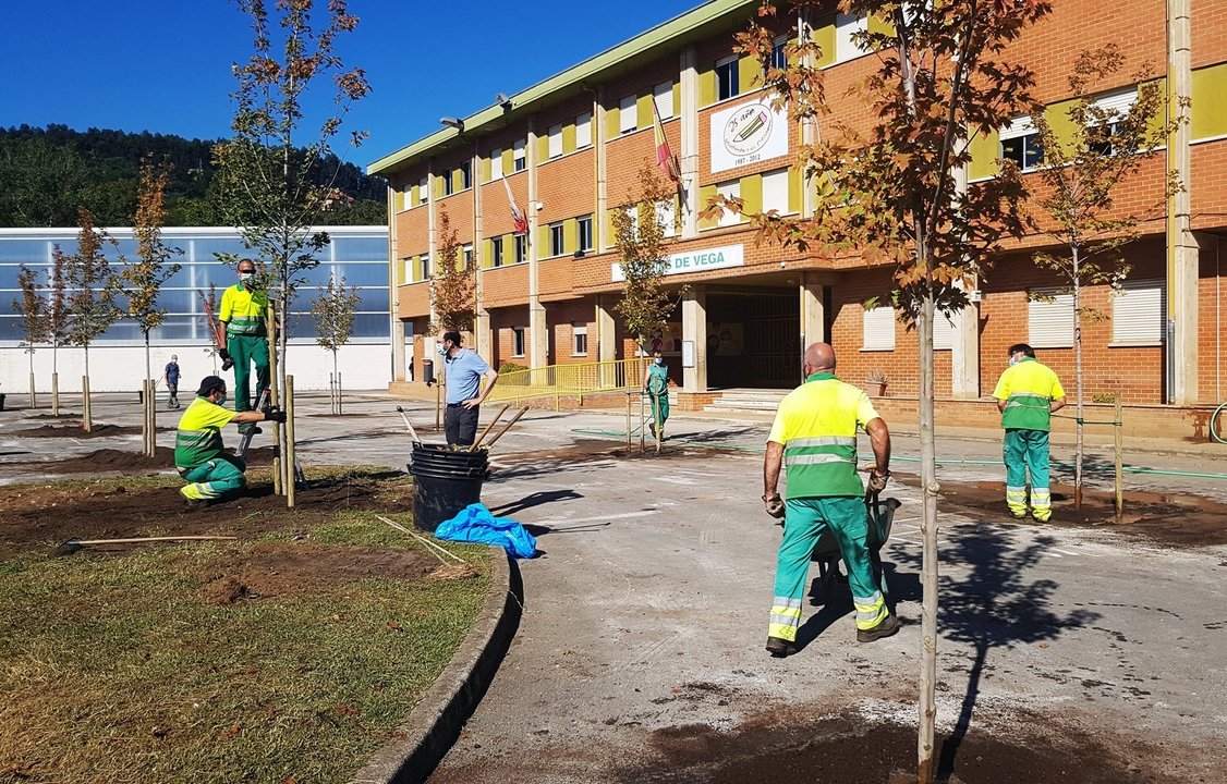 Archivo - Torrelavega.- El Ayuntamiento transforma el patio del colegio Mies de Vega con arbolado