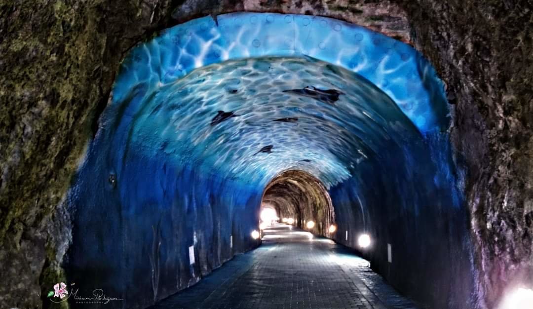 túnel de laredo