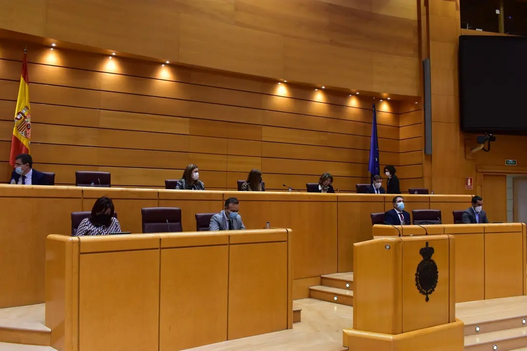 La ministra para la Transici&oacute;n Ecol&oacute;gica y Reto Demogr&aacute;fico, Teresa Ribera, y el ministro de Agricultura, Pesca y Alimentaci&oacute;n, Luis Planas, comparecen en el Senado para analizar la protecci&oacute;n del lobo ib&eacute;rico y de la t&oacute;rtola europea.