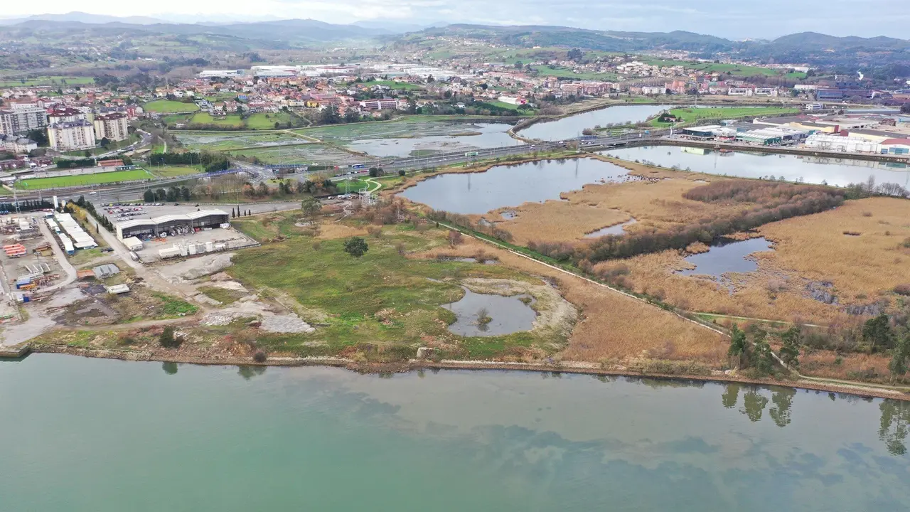 Marismas de Astillero