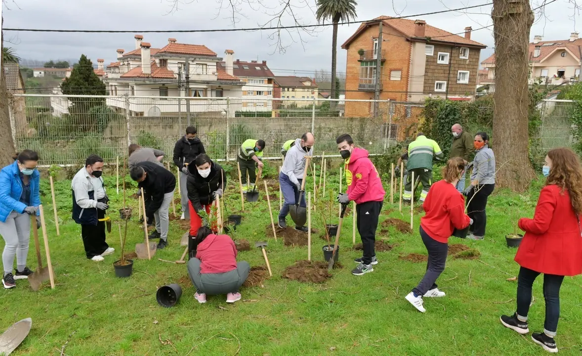 Plantaci&oacute;n ciudadana en Santander